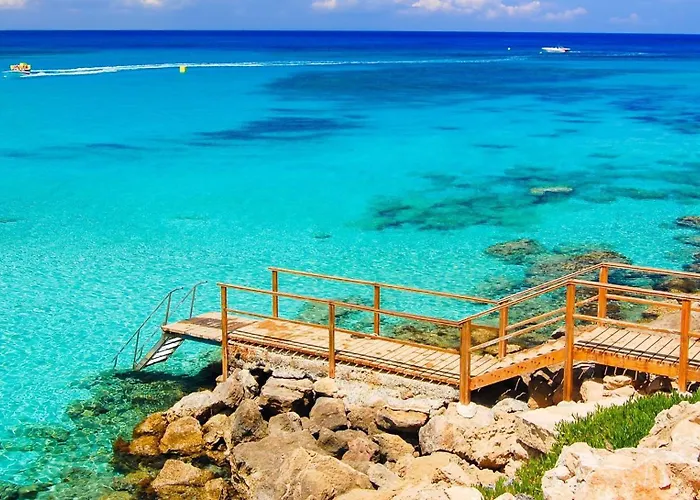 Fig Tree Five Protaras